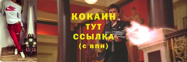 ГАЛЛЮЦИНОГЕННЫЕ ГРИБЫ Володарск