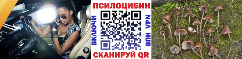 mega зеркало  сколько стоит  Архангельск  Галлюциногенные грибы мухоморы 